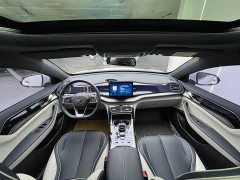 BYD Qin Plus DM-i 55KM Flagship - ფოტო 5