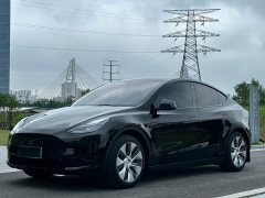 Tesla Model Y Rear-Wheel Drive - photo 1