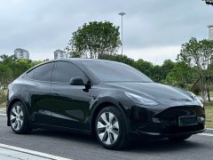 Tesla Model Y Rear-Wheel Drive - photo 3