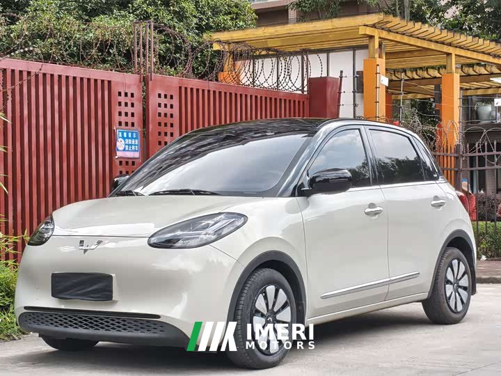 Wuling Binguo 203km Light Enjoy Edition - ავტომობილი ჩინეთიდან
