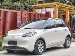 Wuling Binguo 203km Light Enjoy Edition - ფოტო 1