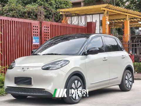 2023 Wuling Binguo 203km Light Enjoy Edition - ავტომობილი ჩინეთიდან