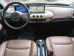 Wuling Binguo 203km Light Enjoy Edition - ფოტო 11