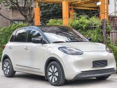 Wuling Binguo 203km Light Enjoy Edition - ფოტო 2