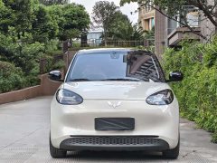 Wuling Binguo 203km Light Enjoy Edition - ფოტო 3