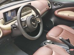 Wuling Binguo 203km Light Enjoy Edition - ფოტო 9
