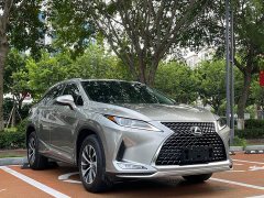 Lexus RX 2020 300 FWD Elite China VI - ფოტო 3