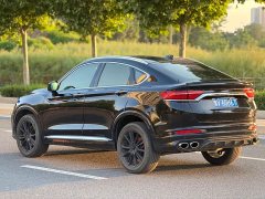 Geely Xingyue 2020 High-Performance Edition 350T Star Master - ფოტო 5