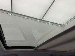Volkswagen Magotan 2023 2 Million Units Commemorative Edition 280TSI DSG Leading Type - ფოტო 13