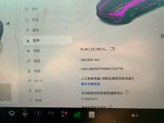 Tesla Model 3 2022 Rear-Wheel Drive - ფოტო 16