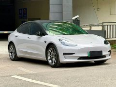 Tesla Model 3 2022 Rear-Wheel Drive - ფოტო 3