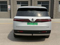Denza BYD Denza N9 Flagship - ფოტო 4