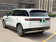 Denza BYD Denza N9 Flagship - ფოტო 5
