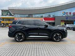 Ford Lingrui EcoBoost 170 Premium Edition - ფოტო 4