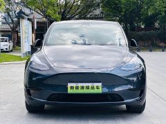 Tesla Model Y Rear-Wheel Drive - ფოტო 2
