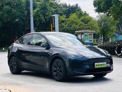 Tesla Model Y Rear-Wheel Drive - ფოტო 3