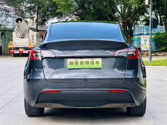Tesla Model Y Rear-Wheel Drive - ფოტო 6