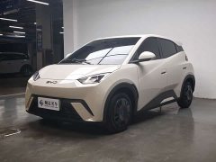 BYD Seagull 2025 305km Vitality Edition - ფოტო 1