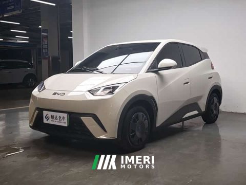 2024 BYD Seagull 2025 305km Vitality Edition - ავტომობილი ჩინეთიდან