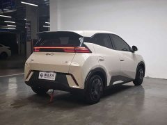 BYD Seagull 2025 305km Vitality Edition - ფოტო 12
