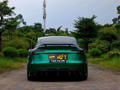 Tesla Model 3 High Performance All-Wheel Drive - ფოტო 8