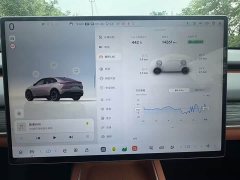 Nio Lerado L60 60kWh Rear-Wheel Drive - ფოტო 20