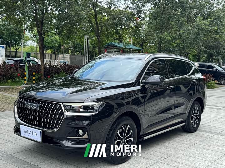 Haval H6 2023 National Trend Edition 1.5T Automatic Urban Version - ავტომობილი ჩინეთიდან