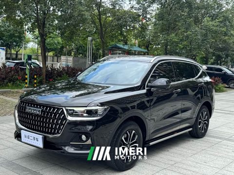 2024 Haval H6 2023 National Trend Edition 1.5T Automatic Urban Version - ავტომობილი ჩინეთიდან