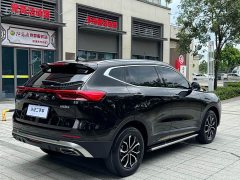 Haval H6 2023 National Trend Edition 1.5T Automatic Urban Version - ფოტო 11