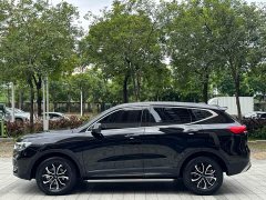 Haval H6 2023 National Trend Edition 1.5T Automatic Urban Version - ფოტო 12