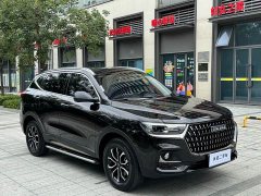 Haval H6 2023 National Trend Edition 1.5T Automatic Urban Version - ფოტო 3