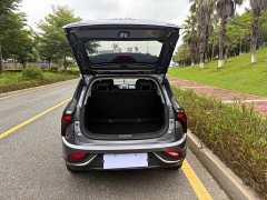 Neta V Standard Range Industry Custom Edition - ფოტო 12