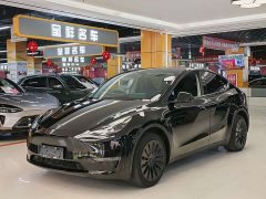 Tesla Model Y 2022 Long Range All-Wheel Drive - ფოტო 1