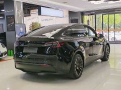 Tesla Model Y 2022 Long Range All-Wheel Drive - ფოტო 12