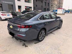 Geely Xingui Xingrui 2.0T Diesel Luxury - ფოტო 15