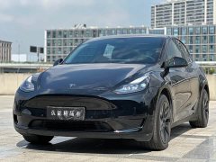 Tesla Model Y Rear-Wheel Drive - ფოტო 1