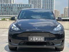 Tesla Model Y Rear-Wheel Drive - ფოტო 2