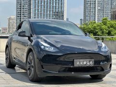 Tesla Model Y Rear-Wheel Drive - ფოტო 3