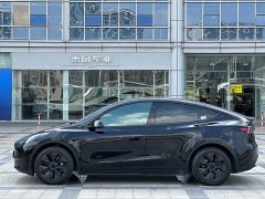 Tesla Model Y Rear-Wheel Drive - ფოტო 7