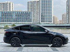 Tesla Model Y Rear-Wheel Drive - ფოტო 8