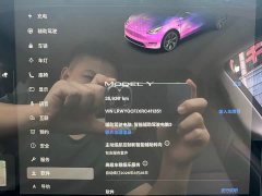 Tesla Model Y Rear-Wheel Drive - ფოტო 9