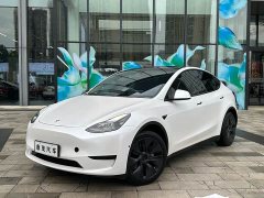 Tesla Model Y 2023 Rear-Wheel Drive - ფოტო 1