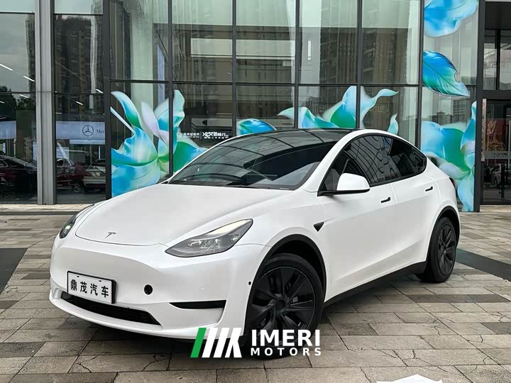 Tesla Model Y Rear-Wheel Drive