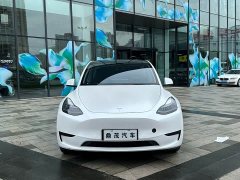 Tesla Model Y 2023 Rear-Wheel Drive - ფოტო 2