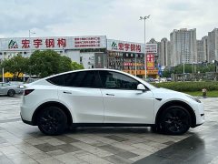 Tesla Model Y 2023 Rear-Wheel Drive - ფოტო 5