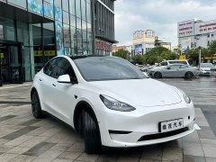 Tesla Model Y 2023 Rear-Wheel Drive - ფოტო 6