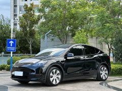 Tesla Model Y 2021 Standard Range RWD - ფოტო 1