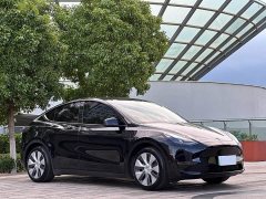 Tesla Model Y 2021 Standard Range RWD - ფოტო 2