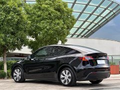 Tesla Model Y 2021 Standard Range RWD - ფოტო 5
