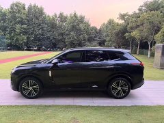 Lynk & Co Geely Lynk & Co 08 EM-P 2023 120km Extended Range Halo - ფოტო 4